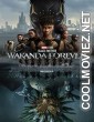 Black Panther Wakanda Forever (2022) Hindi Dubbed Movie